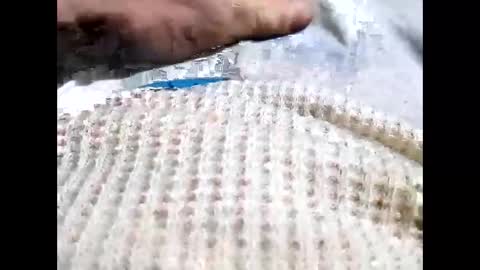 cowboyup696969723295 online show from February 2026 05:33:02 AM