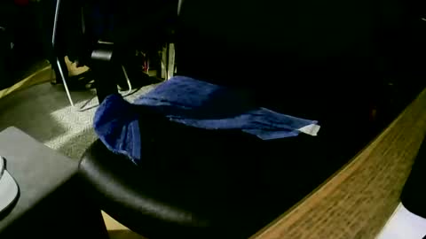 coyote017 online show from February 2025 04:18:01 PM