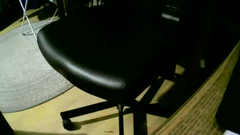 coyote017 online show from February 2025 07:14:01 PM