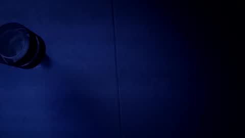 craigforrest0 online show from November 2025 07:37:01 PM