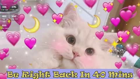Sonya online show from June 2026 12:32:02 AM