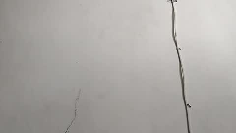 CreamyCocoBabe online show from April 2026 08:04:02 PM