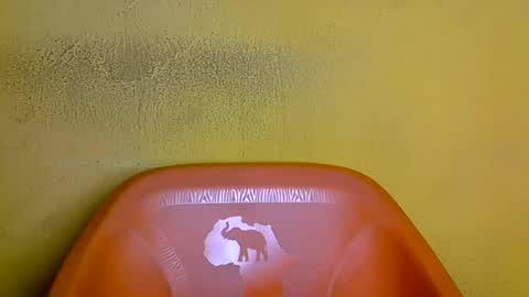 creamyposh1 online show from July 2026 02:13:01 PM