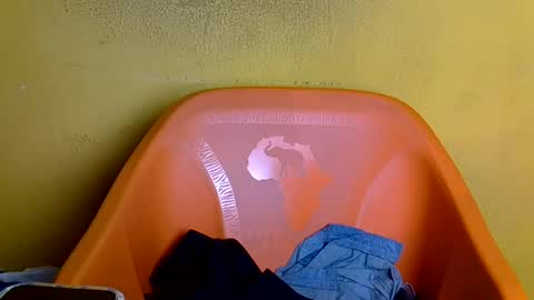 creamyposh1 online show from July 2026 06:13:01 AM
