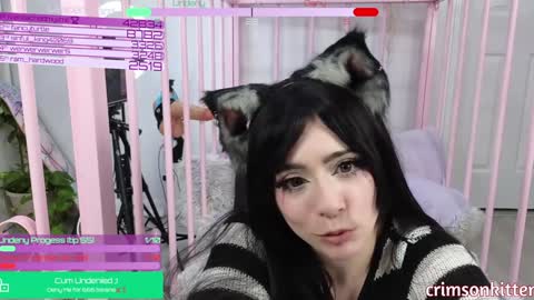 Snapshot of crimsonkitten chatting on January 2025 11:11:01 AM Crimson Kitten online show from January 2025 11:11:01 AM