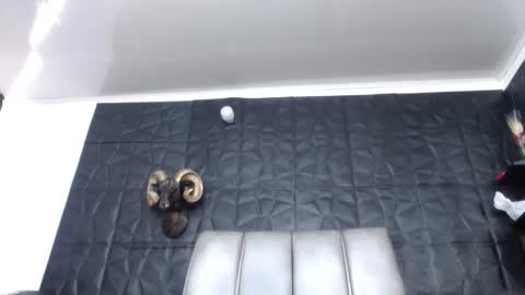 Hanna  online show from March 2026 02:01:02 PM