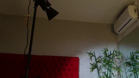 Cris  online show from June 2026 12:08:01 PM