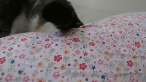 cristiyna36 online show from March 2026 12:11:01 PM