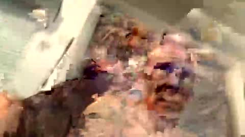 Snapshot of critterick6674 chatting on March 2026 11:27:02 PM critterick6674 online show from March 2026 11:27:02 PM