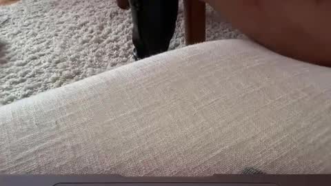 cruash online show from February 2026 02:14:01 PM