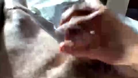 Snapshot of crushit chatting on January 2026 05:04:02 PM Crushit online show from January 2026 05:04:02 PM