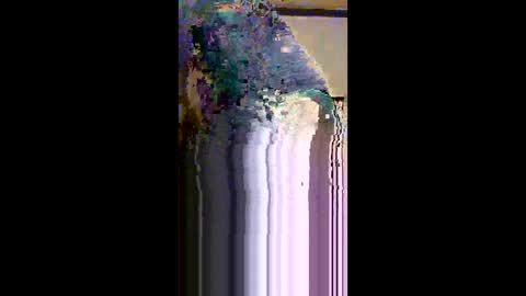 cuban_daddy1 online show from February 2026 03:03:02 AM