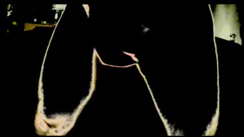 cum4me2i812 online show from July 2026 12:46:01 AM