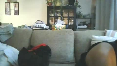 cumdumpslutfag online show from June 2026 09:51:02 AM