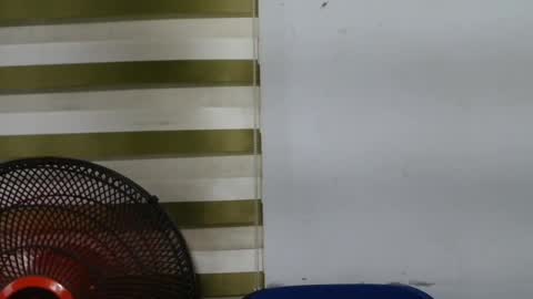 cupxcakex online show from April 2026 11:07:01 PM