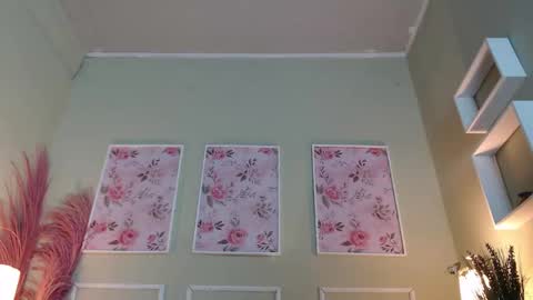 DANI online show from November 2025 12:05:02 PM