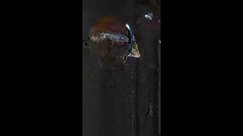 Snapshot of curvedandtatted chatting on February 2026 10:28:02 PM Herandthere online show from February 2026 10:28:02 PM