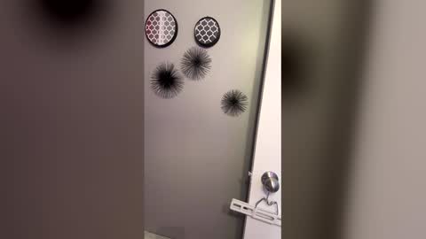 curvyleesha71 online show from February 2026 06:28:01 PM