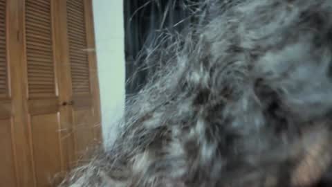 curvypornxxx online show from January 2025 10:43:01 AM