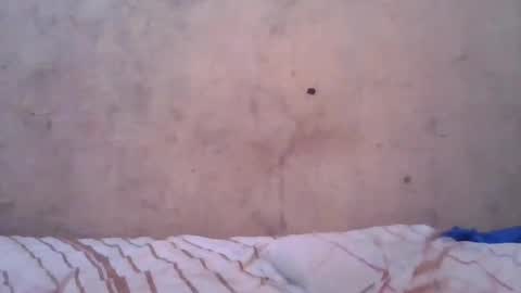 cute_divah4 online show from June 2026 04:22:02 AM