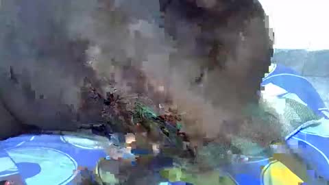 Snapshot of cute_ellinah chatting on December 2025 04:47:01 PM lynn online show from December 2025 04:47:01 PM