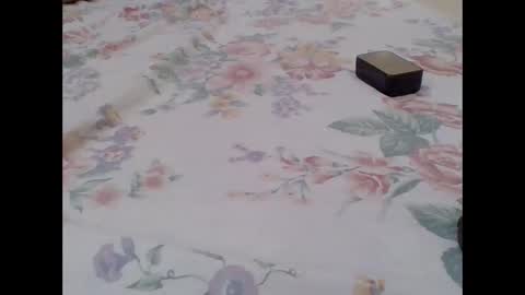 cute_lizah online show from October 2025 06:54:01 AM