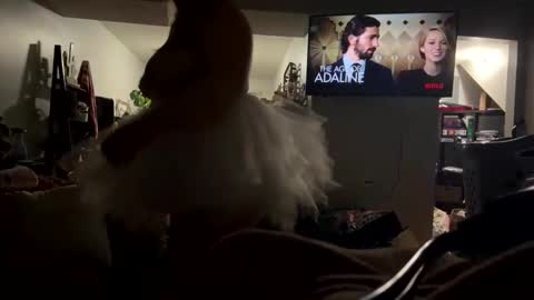 cutebananas online show from April 2026 09:23:02 AM