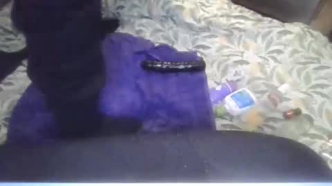 cutebuttbottom online show from May 2026 12:21:01 PM