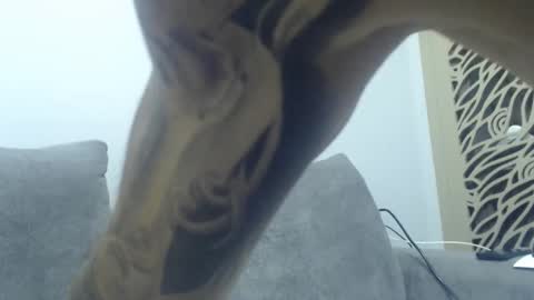 cuteeboy online show from December 2025 08:37:02 PM