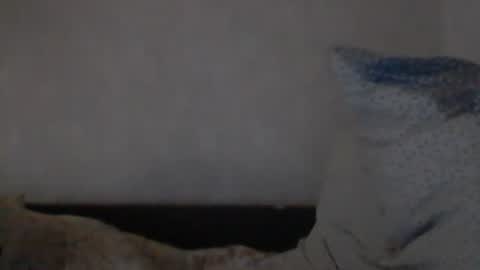 Snapshot of cutekattie chatting on December 2024 09:24:01 AM cutekattie online show from December 2024 09:24:01 AM