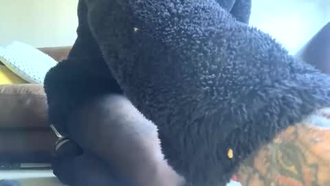 cutestsin online show from September 2025 09:03:02 AM