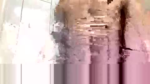 cvc2025 online show from November 2025 12:20:02 AM