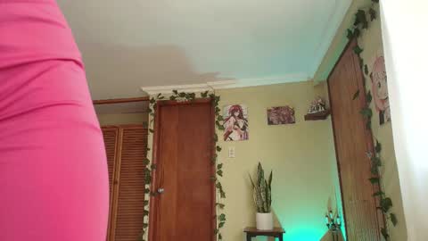 Snapshot of cybercami chatting on December 2025 02:45:02 PM Camila online show from December 2025 02:45:02 PM