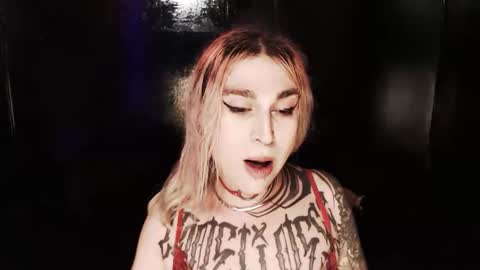 Snapshot of cybertrouble_ chatting on November 2025 11:26:01 PM Nikki online show from November 2025 11:26:01 PM