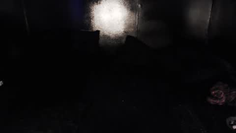 Snapshot of cybertrouble_ chatting on February 2026 04:36:02 PM Nikki online show from February 2026 04:36:02 PM