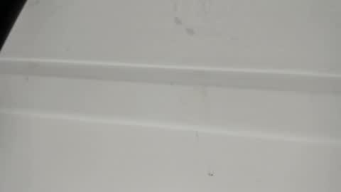Ivy online show from April 2026 02:48:01 AM