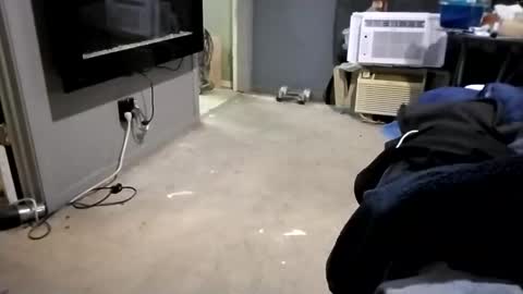 da941987 online show from December 2024 05:48:01 AM