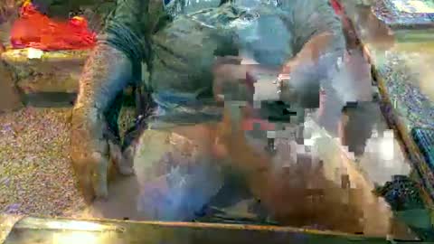 dabaatendae online show from January 2025 06:16:01 PM