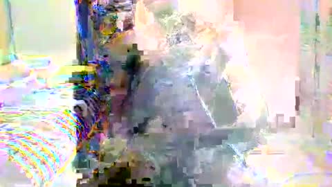 dacedave52 online show from February 2026 10:52:02 AM