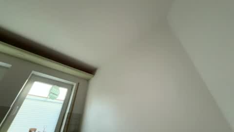 Dachdecker online show from August 2026 04:00:01 AM