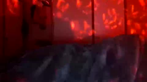 Snapshot of daddett chatting on December 2025 09:48:01 AM Daddett iS Wett online show from December 2025 09:48:01 AM