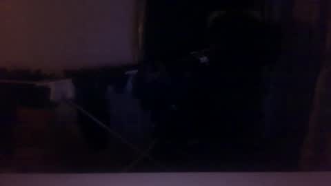 Snapshot of daddy20267 chatting on December 2025 04:52:02 AM daddy20267 online show from December 2025 04:52:02 AM