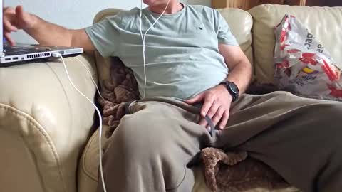 Snapshot of daddy33383 chatting on October 2025 11:41:02 AM daddy33383 online show from October 2025 11:41:02 AM