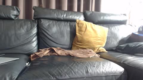 daddy6969xxxx online show from February 2025 07:15:01 AM