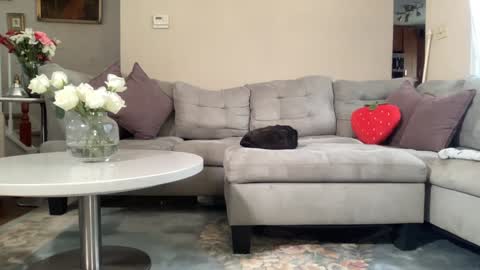 Snapshot of daddy_daycare_ chatting on February 2026 05:55:01 PM Belle Email daddydaycarecb online show from February 2026 05:55:01 PM