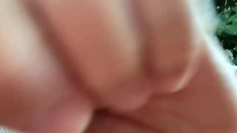 daddydick926 online show from September 2025 01:22:02 PM