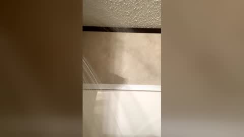 Nova payge online show from April 2026 11:05:02 PM