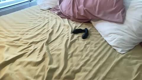 dadstrokin online show from March 2026 05:28:01 PM