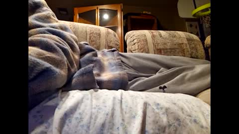 Snapshot of dailyjerker84 chatting on March 2025 06:13:02 AM DailyJerker84 online show from March 2025 06:13:02 AM