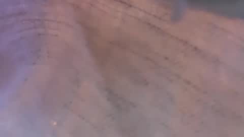 Daisy137 online show from March 2026 06:44:02 PM